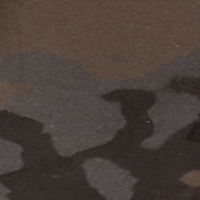 Midnight Camo