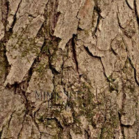 Mimichrist Blind Spot