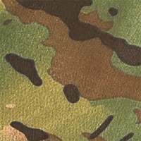 Multicam