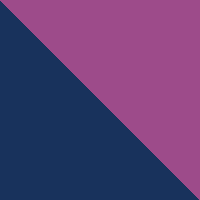 Navy/Purple