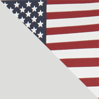 Nimbus Grey/US Flag Stamp