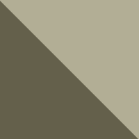 Olive/Tan