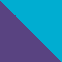 Purple/Teal