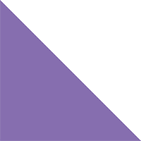 Purple/White