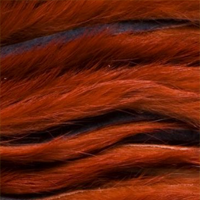 Rusty Brown