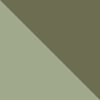 Safari/Stone Green
