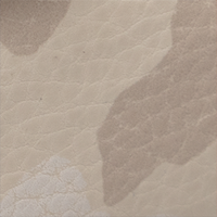 Sand Camo