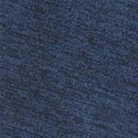 Sargasso Sea