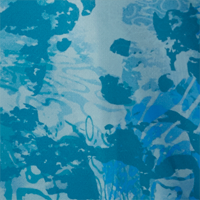 Sea Floor