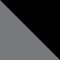Silver/Black