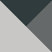 Silver/Carbon/Gray