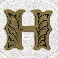 Silver with Gold H and Trim