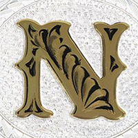 Silver with Gold N and Trim