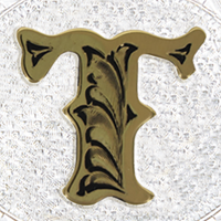 Silver with Gold T and Trim