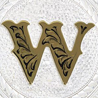 Silver with Gold W and Trim