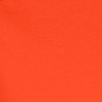 Spicy Orange