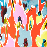 Splash Garden