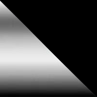 Stainless/Black
