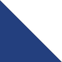 Tech Blue/White