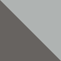 Titanium/Silver