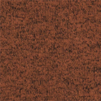 Tortoise Shell