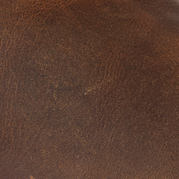 Trail Brown