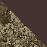 TrueTimber Strata/Brown