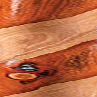 Twisted Hickory