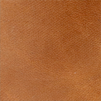 Velvet Tan