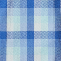 Vivid Blue Mid Gingham