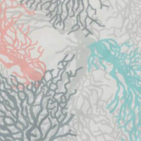 White Coral