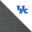 Univ of Kentucky/City Grey Htr