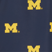 Univ of Michigan/Col Navy Logo