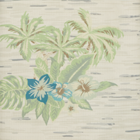 Gray Hawaiian