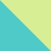 Turquoise/Turtle