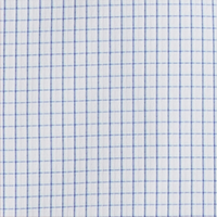 Vivid Blue Multi Gingham