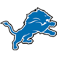 Detroit Lions/Matte Black