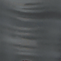 Gray Stripe