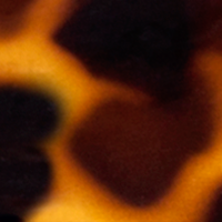 Matte Brown Tortoise