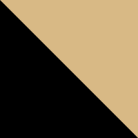 Polished Black/Gold