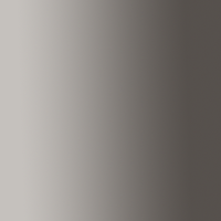Polished Transparent Gray