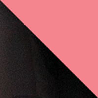 Shiny Black Hibiscus