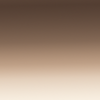 Transparent Brown Gradient