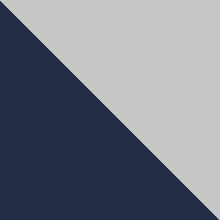 Blue/Silver