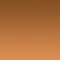 Bronze Reflex Mirror