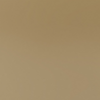 Brown Classic