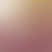 Brown/Gold Mirror
