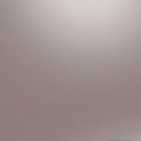 Prizm Black Iridium Mirror