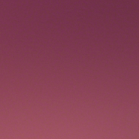 Rose Gradient