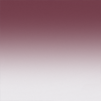 Dark Violet Gradient